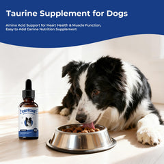 BrightBarki taurine drops pour, simple measurement to add to meals.