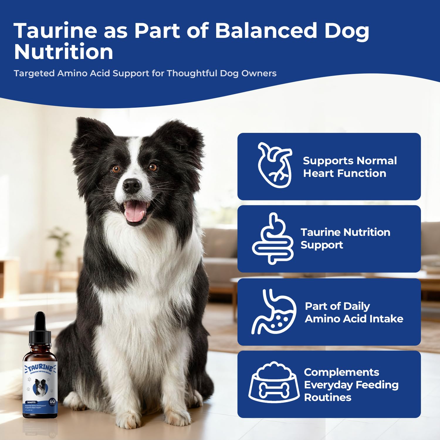 BrightBarki taurine liquid drops dog, supports normal muscle function during activity.