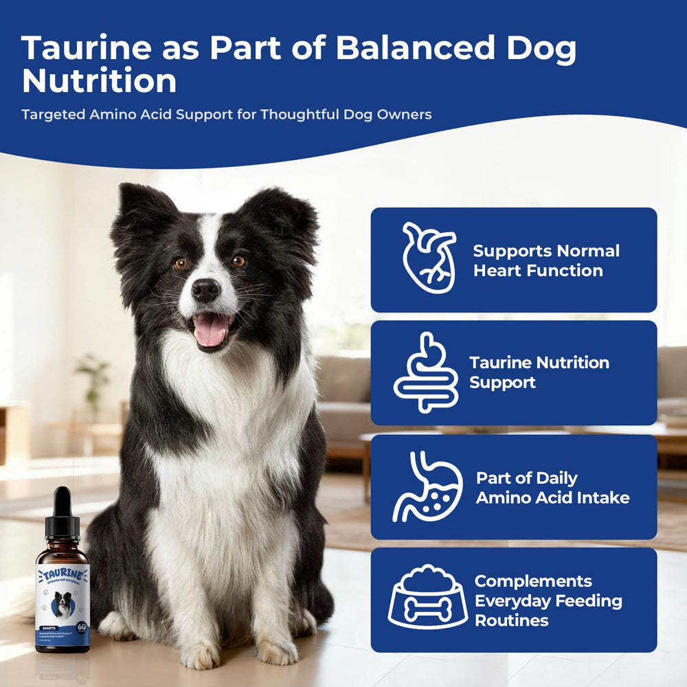BrightBarki taurine liquid drops dog, supports normal muscle function during activity.