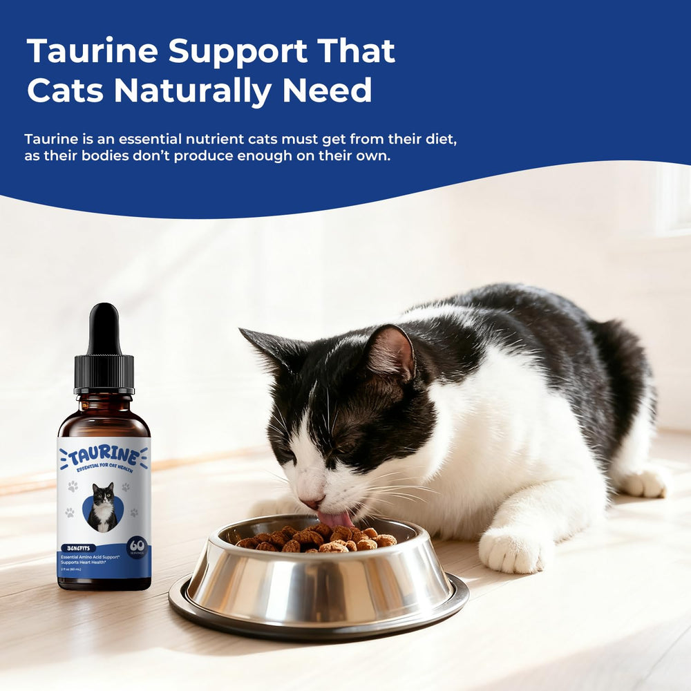 BrightBarki Taurine drops with dropper for precise routine dosing.