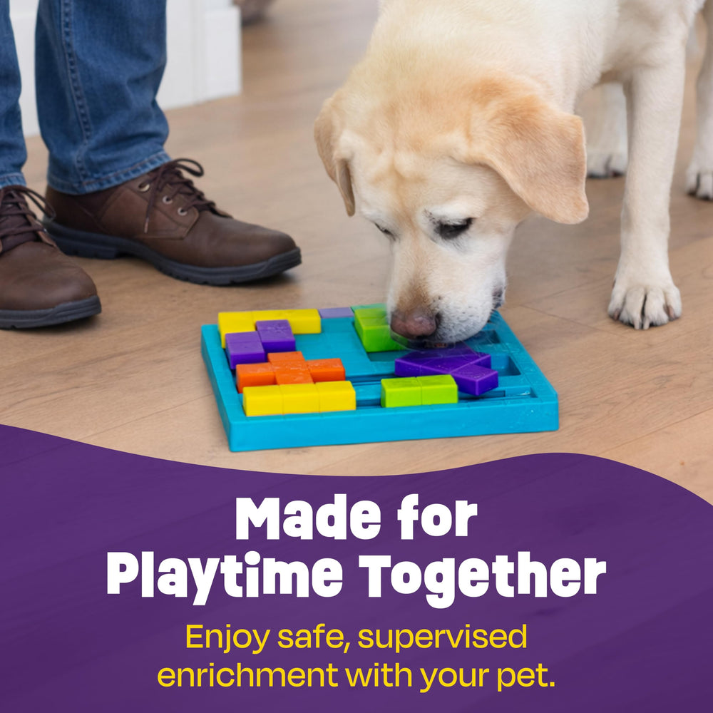 Brightkins Brain Teaser Puzzle guide by CPDT-KA helps owners train effectively.
