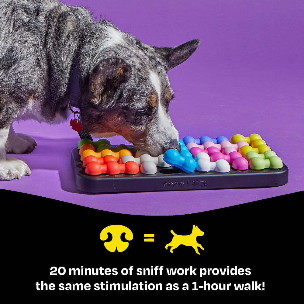Brightkins Kanoodle Dog Edition easy-clean BPA-free construction supports daily use.