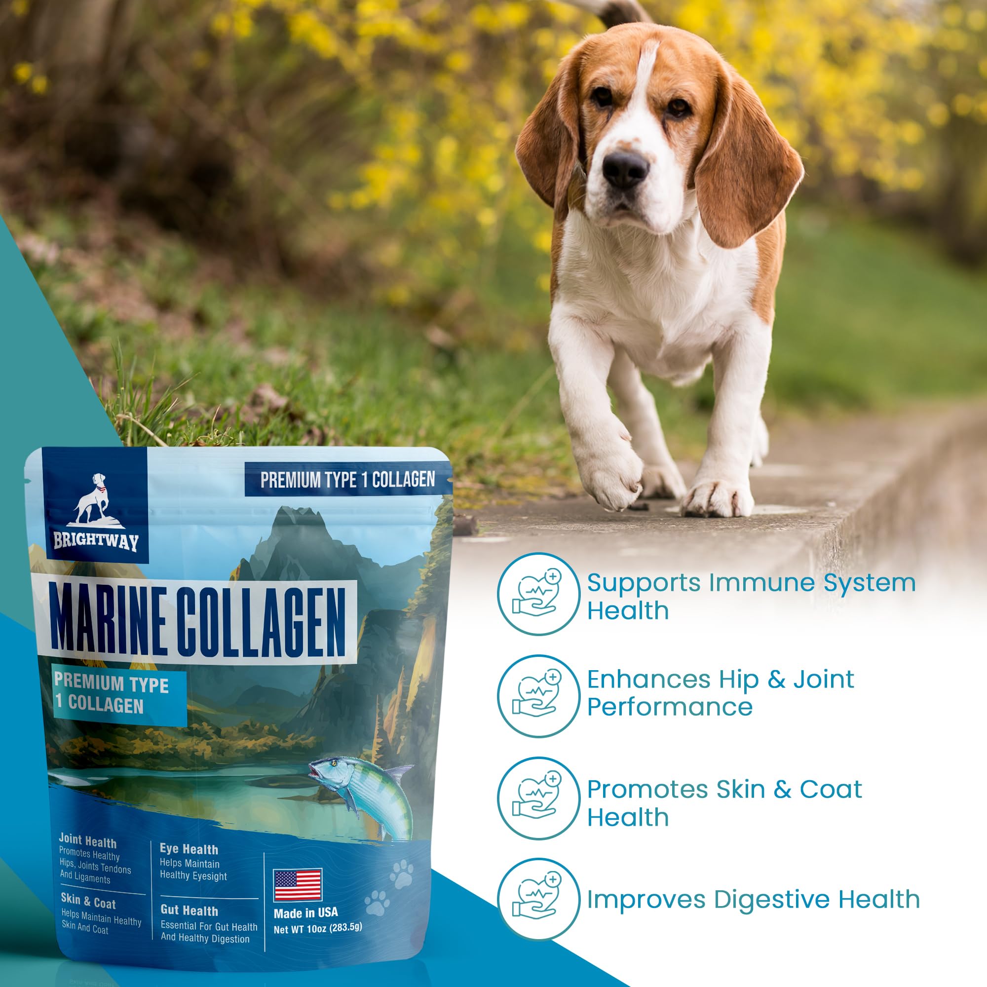 Brightway Pets Alaskan Pollock source emphasizes quality protein