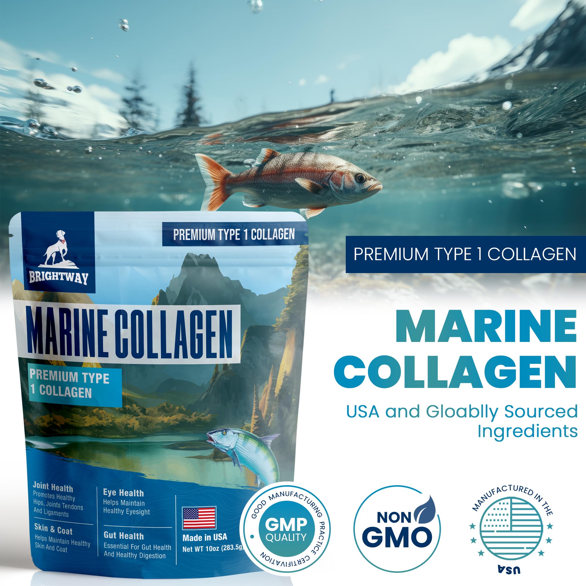 Brightway Pets close-up shows coat-glow from collagen supplement