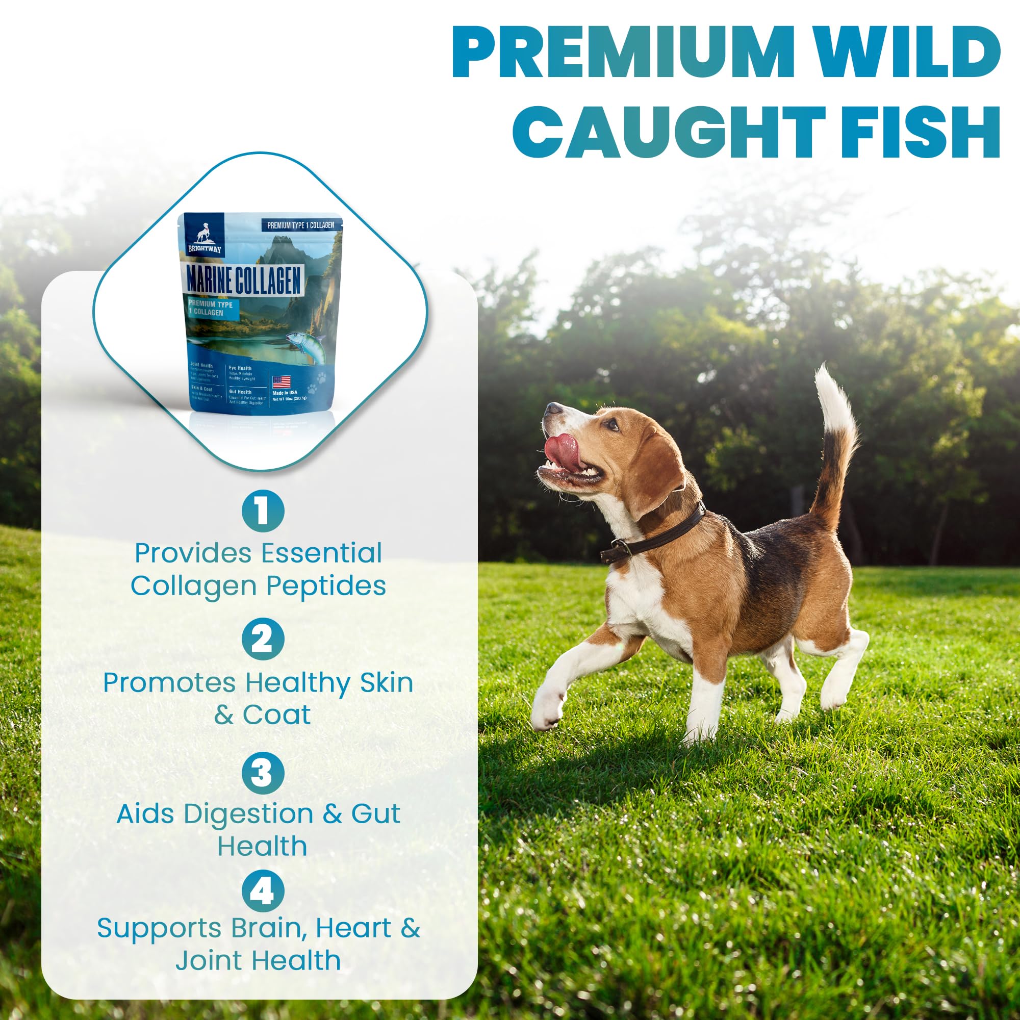 Brightway Pets dog meal with collagen mix for coat and comfort