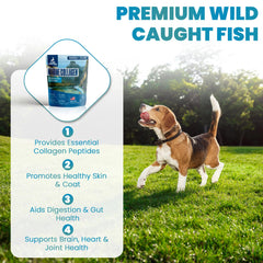 Brightway Pets dog meal with collagen mix for coat and comfort