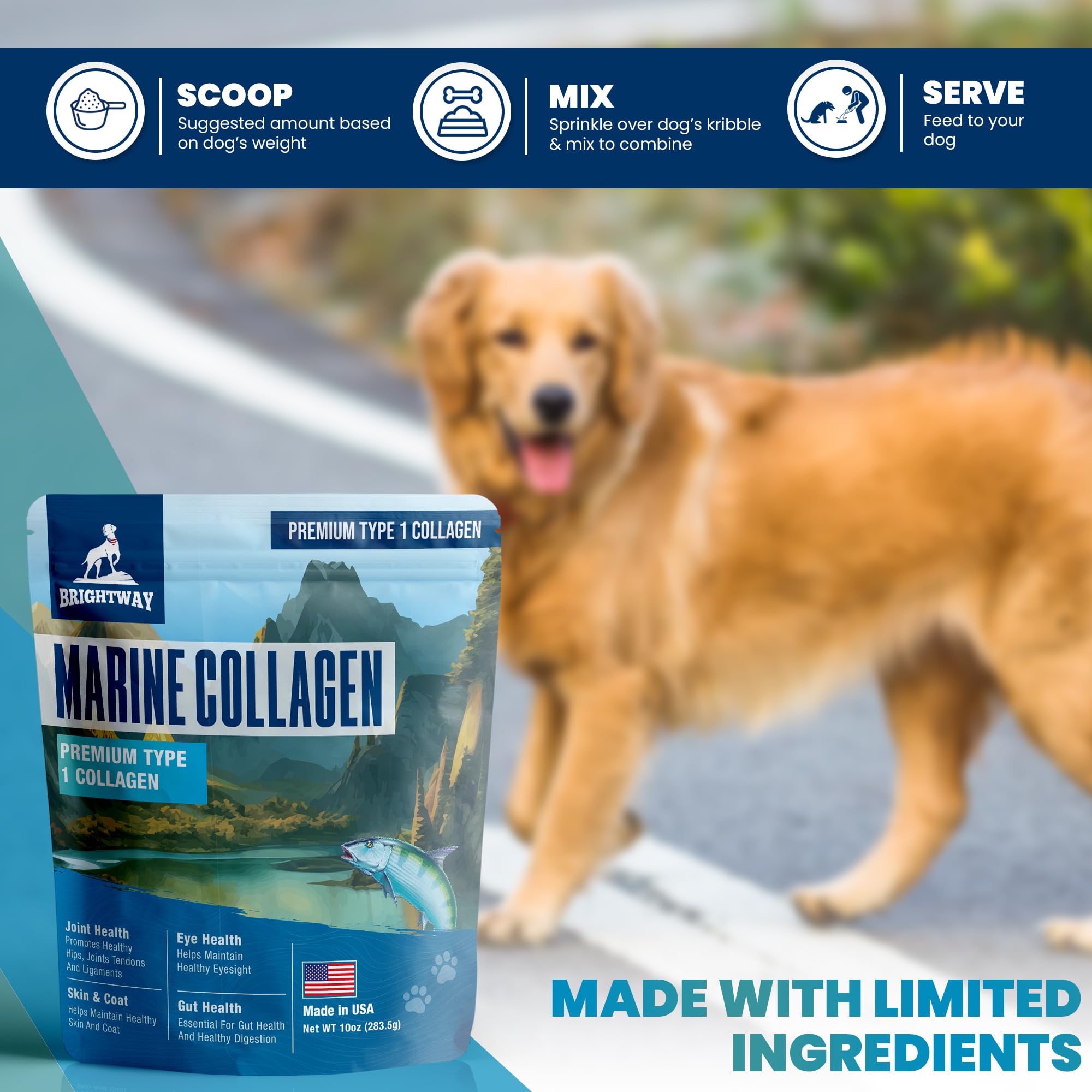 Brightway Pets dog on walk with improved mobility and energy