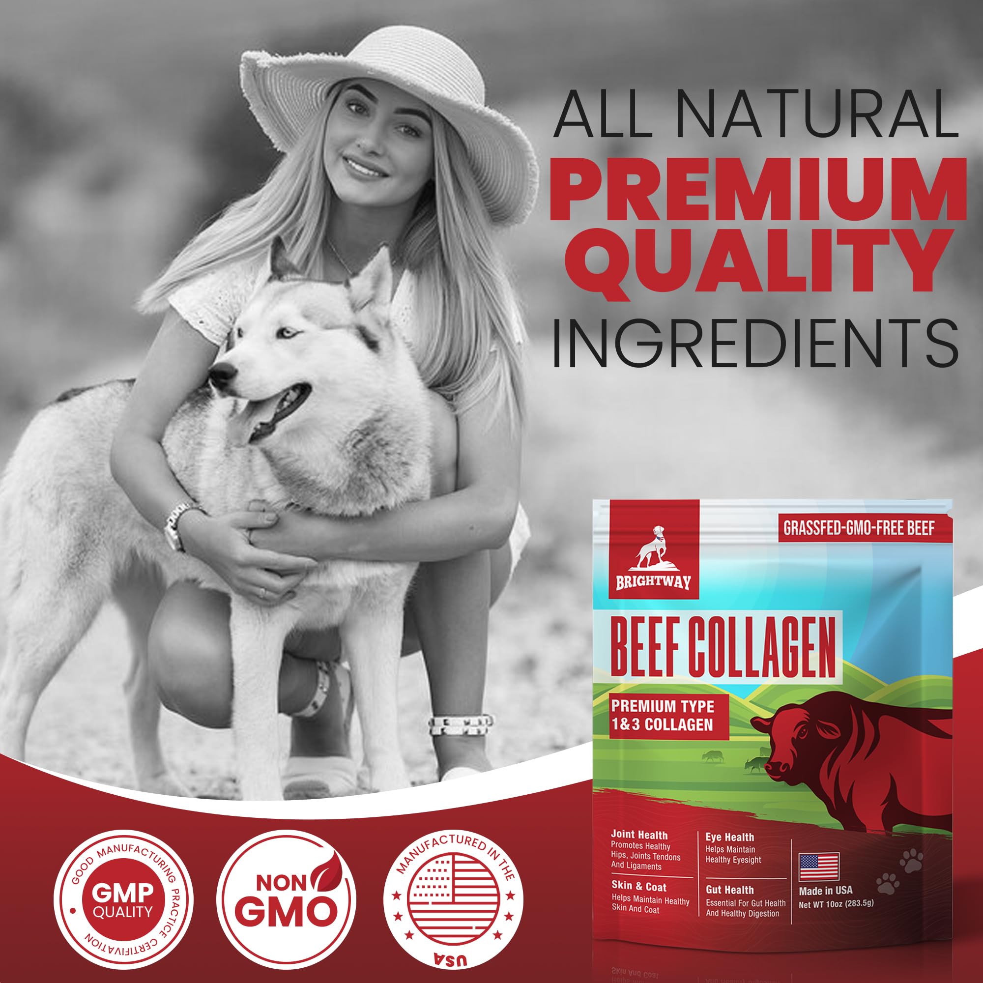 Brightway Pets Grass-Fed Collagen for Dogs display of coat shine and flexibility
