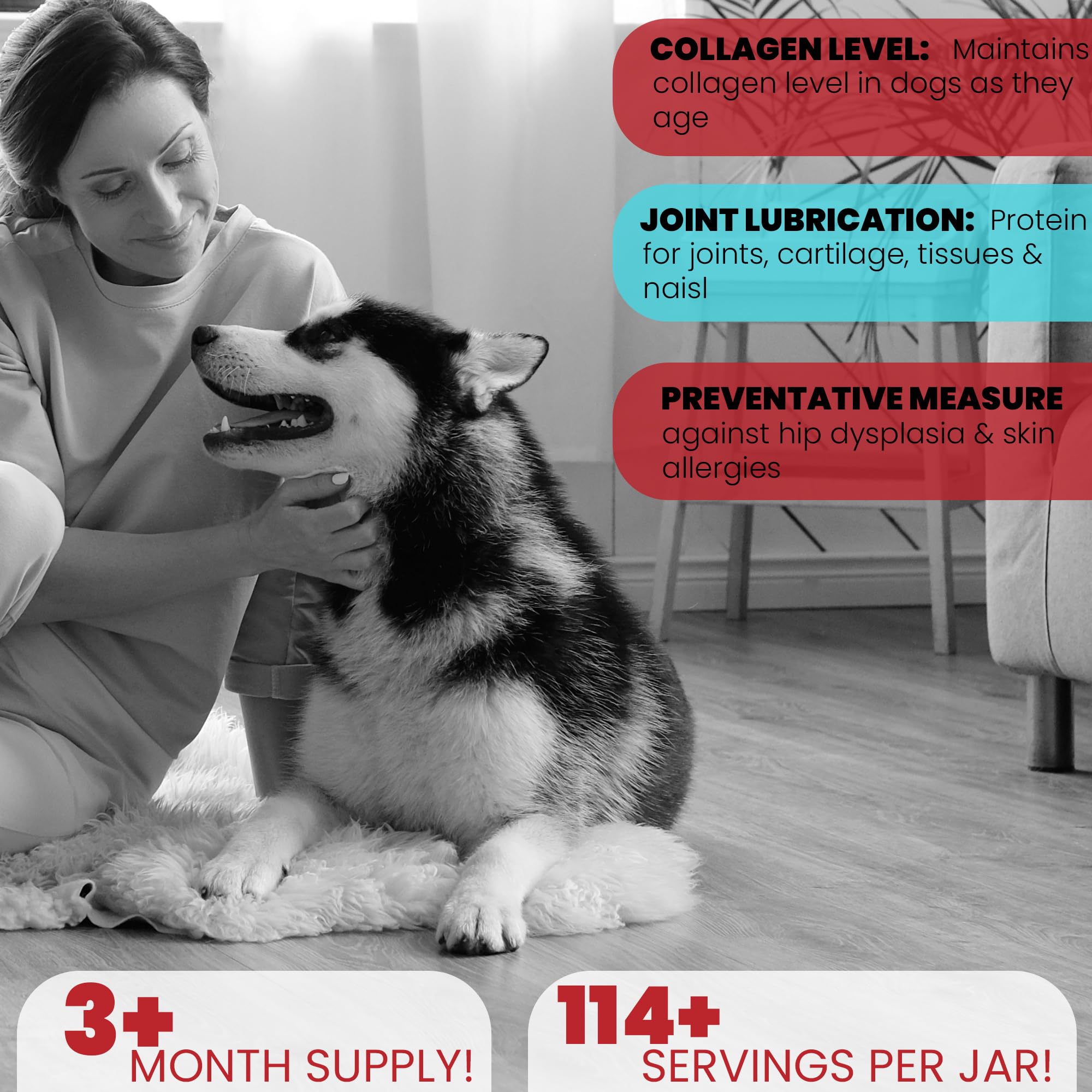Brightway Pets Grass-Fed Collagen for Dogs joints illustration emphasizes support