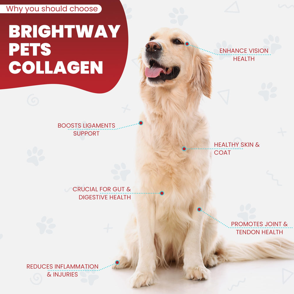 Brightway Pets Grass-Fed Collagen for Dogs packaging with seal and label