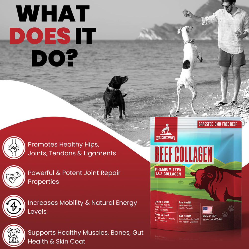 Brightway Pets Grass-Fed Collagen for Dogs serving highlights coat health and mobility