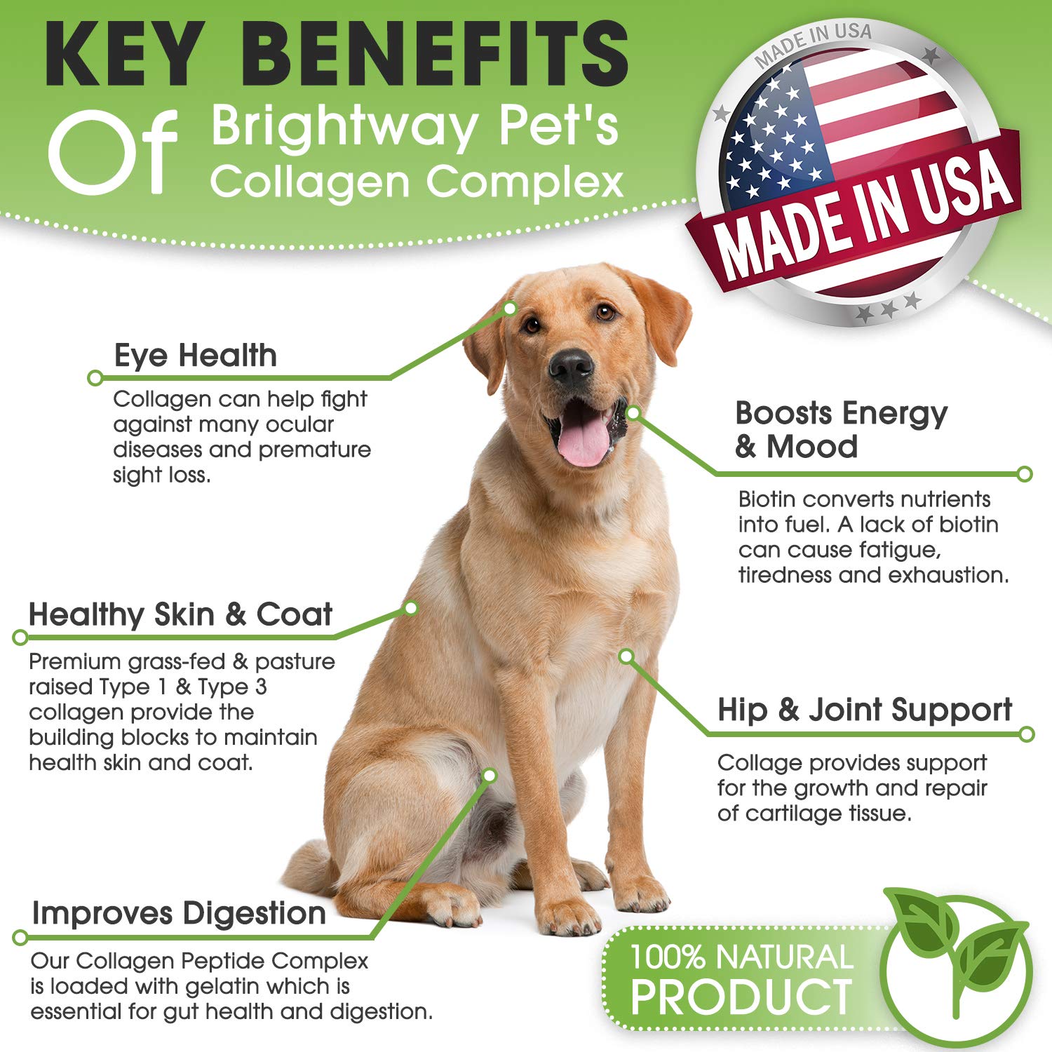 Brightway Pets K9 Collagen peptide complex bottle and dog running, supporting joints and flexibility.