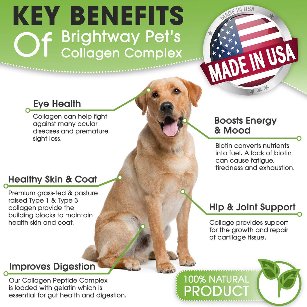 Brightway Pets K9 Collagen peptide complex bottle and dog running, supporting joints and flexibility.