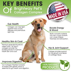 Brightway Pets K9 Collagen peptide complex bottle and dog running, supporting joints and flexibility.