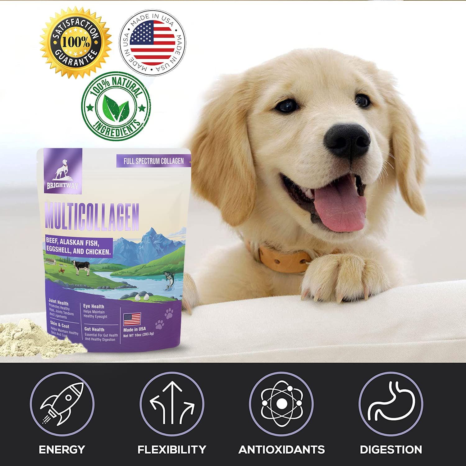 Brightway Pets joint illustration communicates hip health benefits for dogs