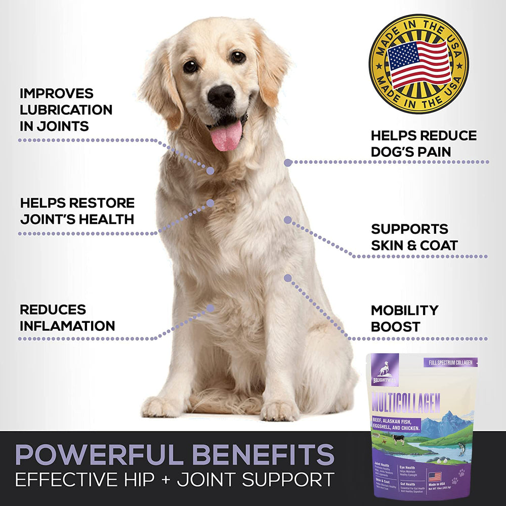 Brightway Pets skin and coat glow highlights a healthier-looking fur
