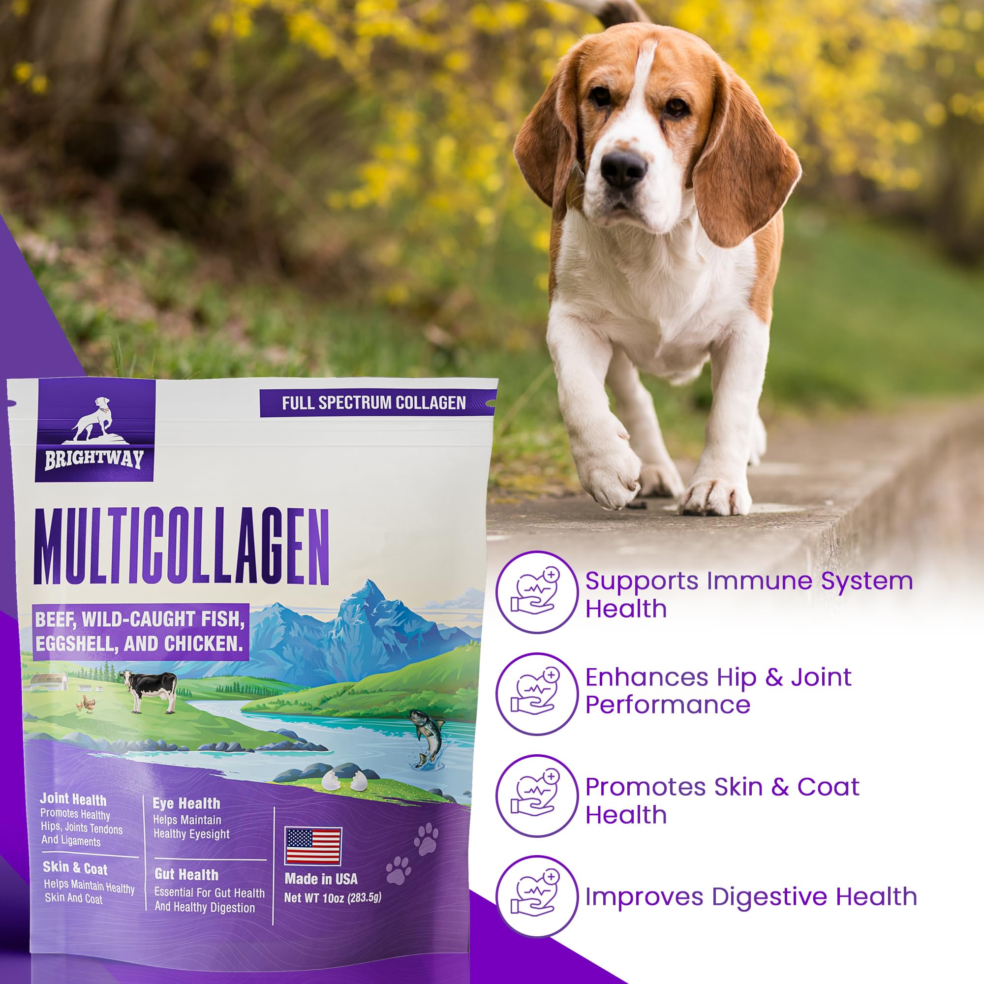Brightway Pets USA-made production scene emphasizes quality and safety