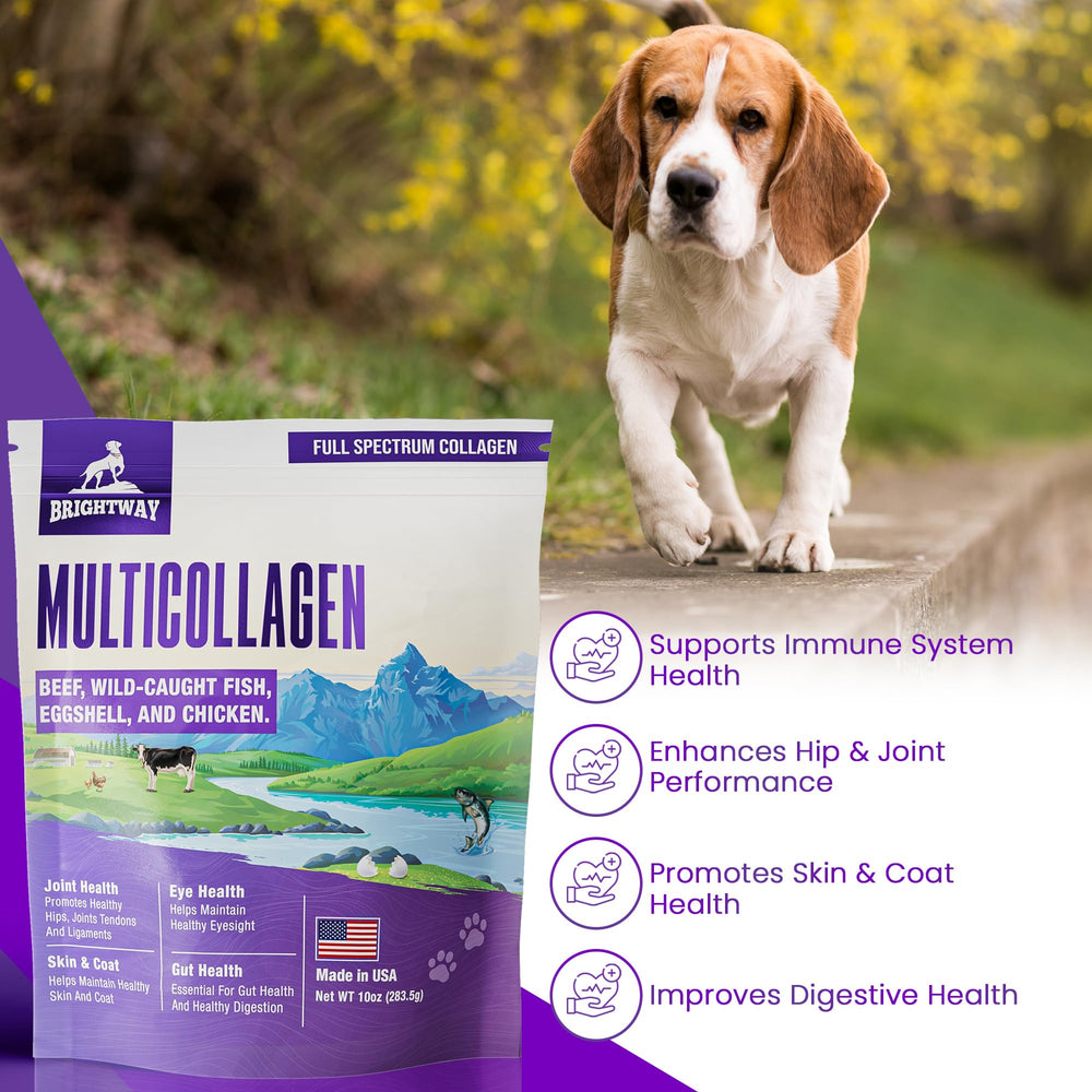 Brightway Pets USA-made production scene emphasizes quality and safety