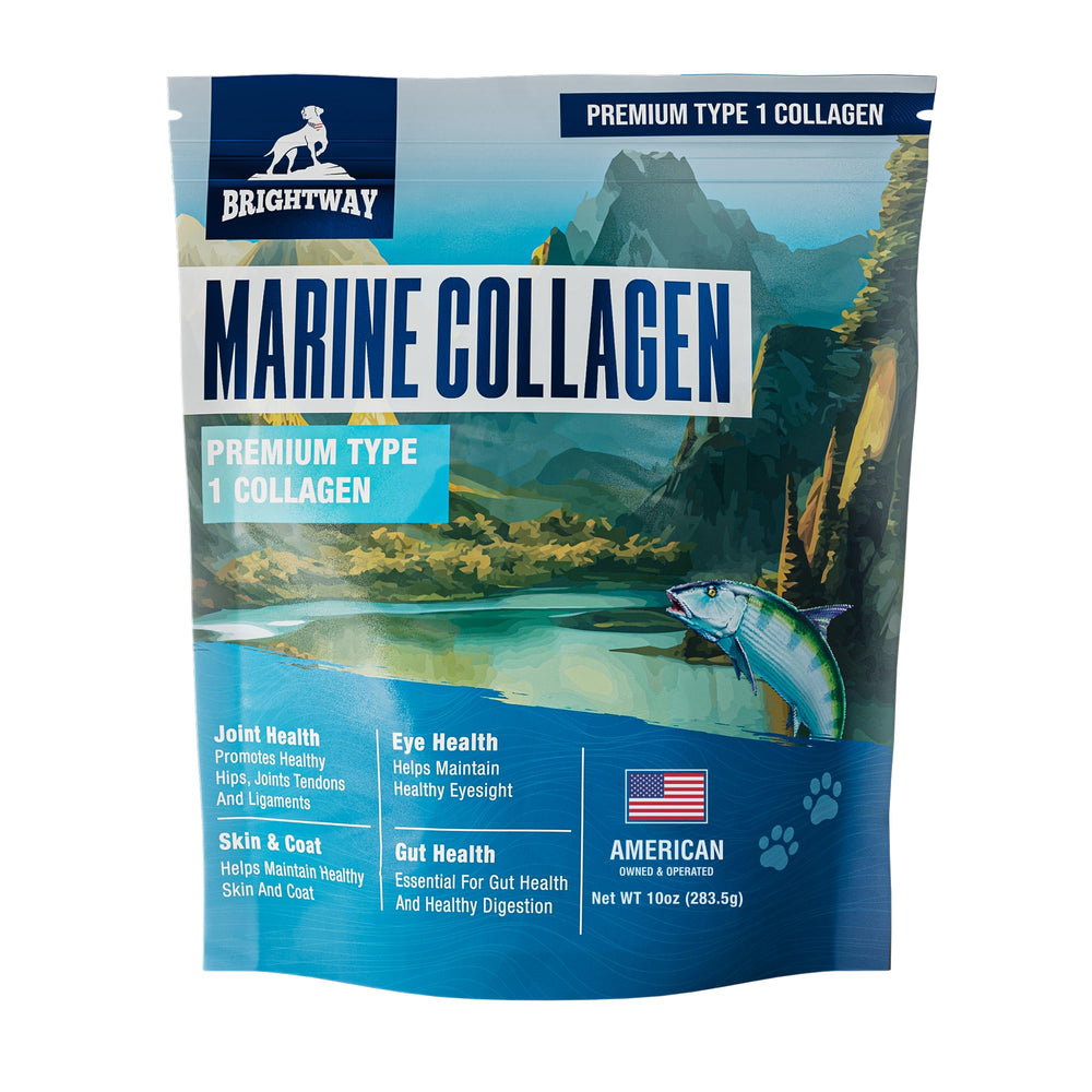 Brightway Pets wild-caught pollack collagen dog bottle offers premium joint and gut support