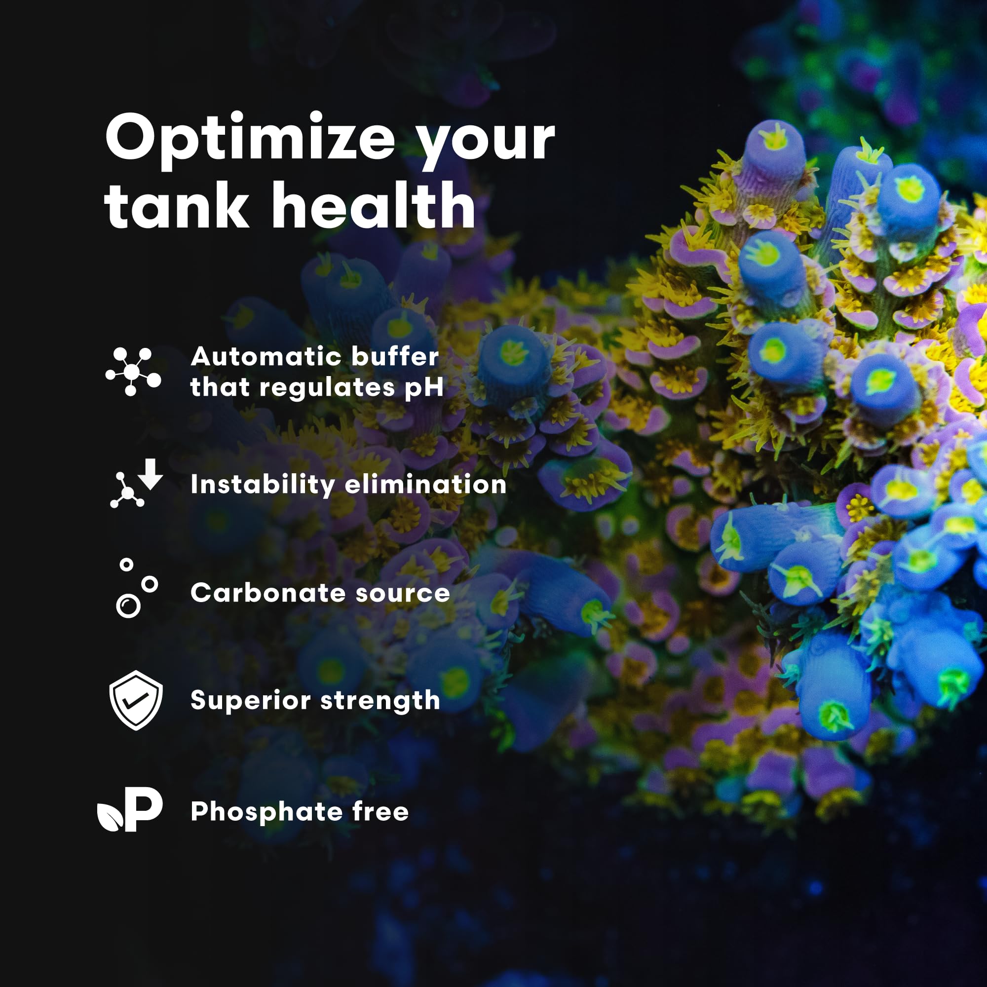 In-tank view highlighting clear water and thriving corals with stable KH