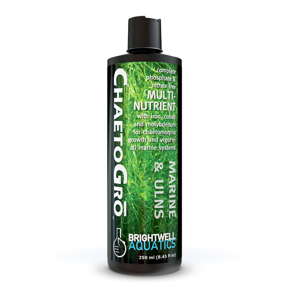 Brightwell ChaetoGro bottle-front promotes healthier chaeto growth in marine tanks.