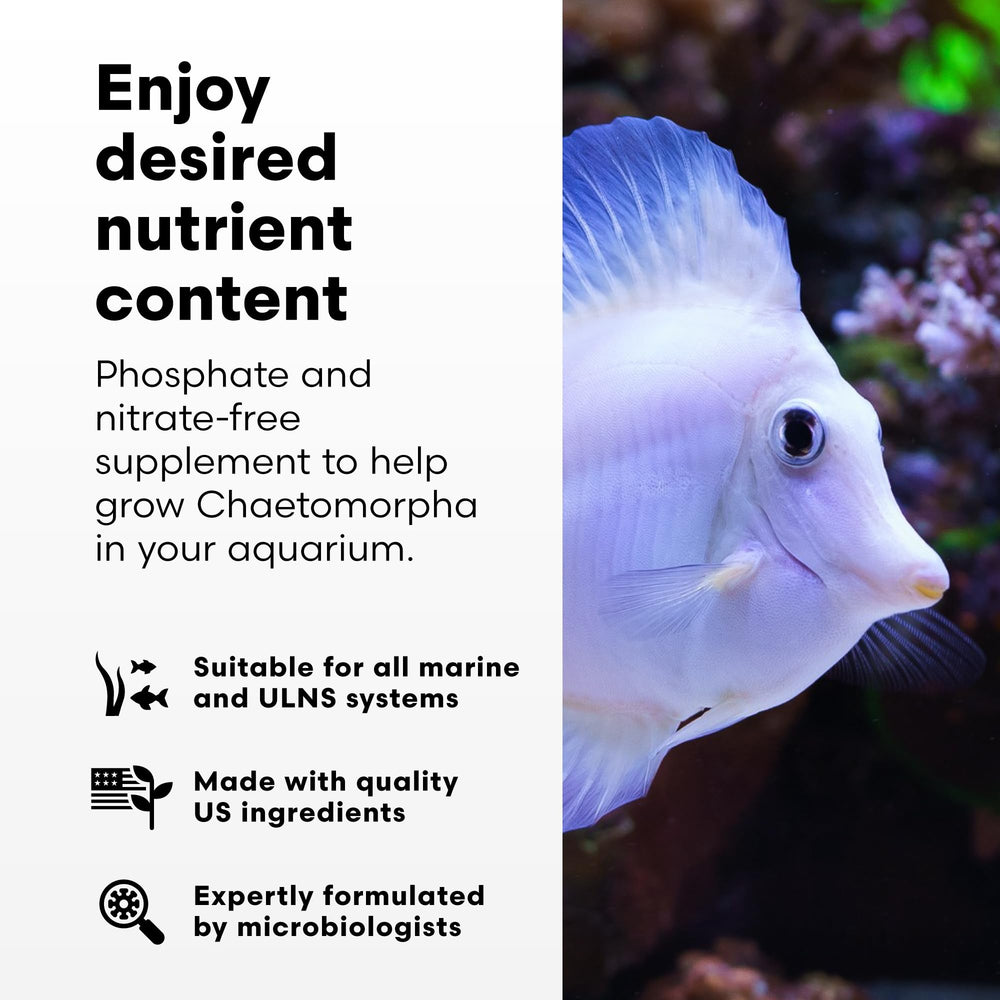 Brightwell ChaetoGro-dosing-dropper shows practical dosing for early chaeto growth.