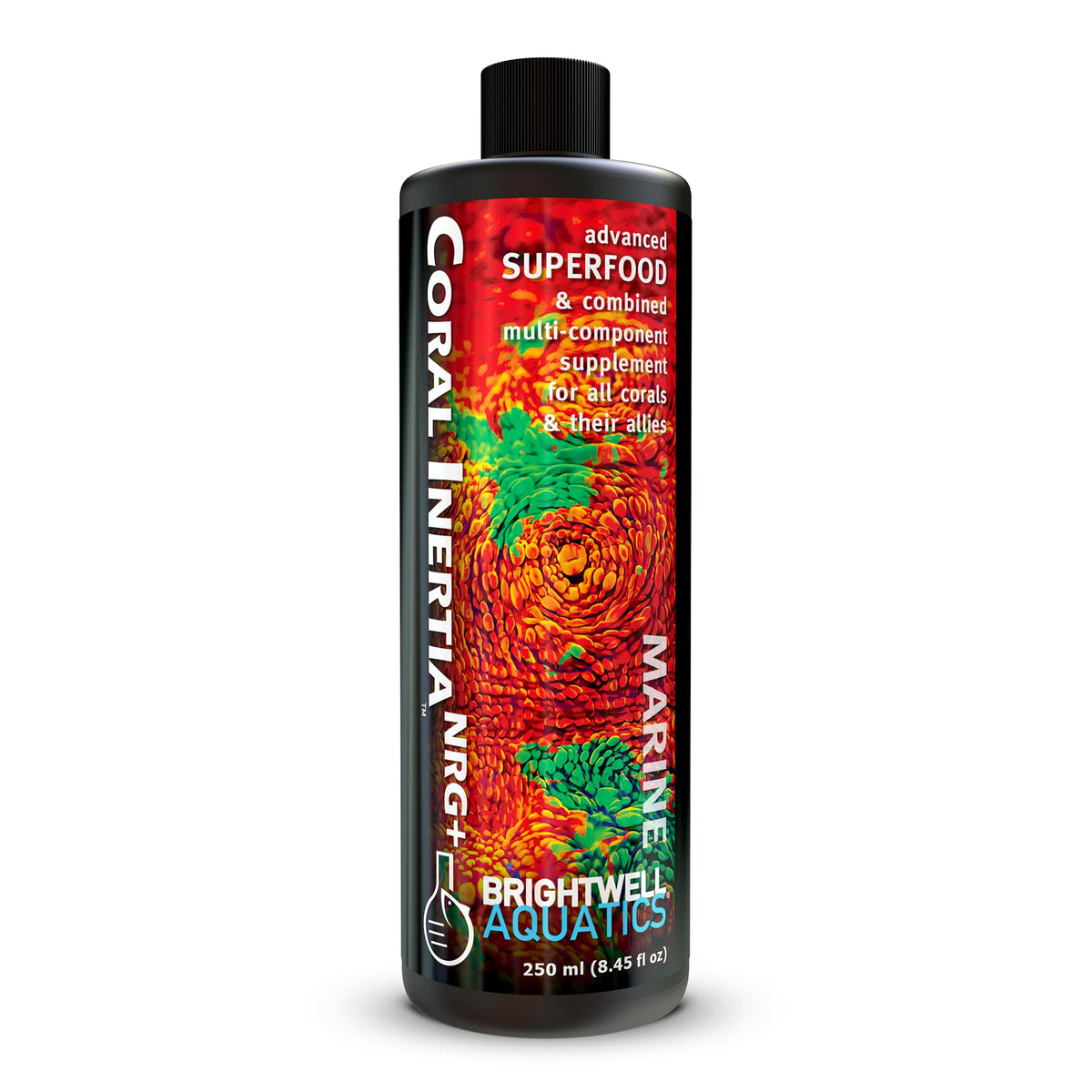Brightwell Aquatics Coral Inertia NRG+ dosing scene demonstrates precise coral feeding benefits.