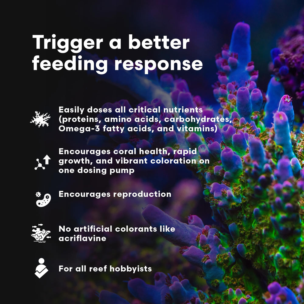 Brightwell Aquatics Coral Inertia NRG+ showing dosing syringe for targeted feeding.