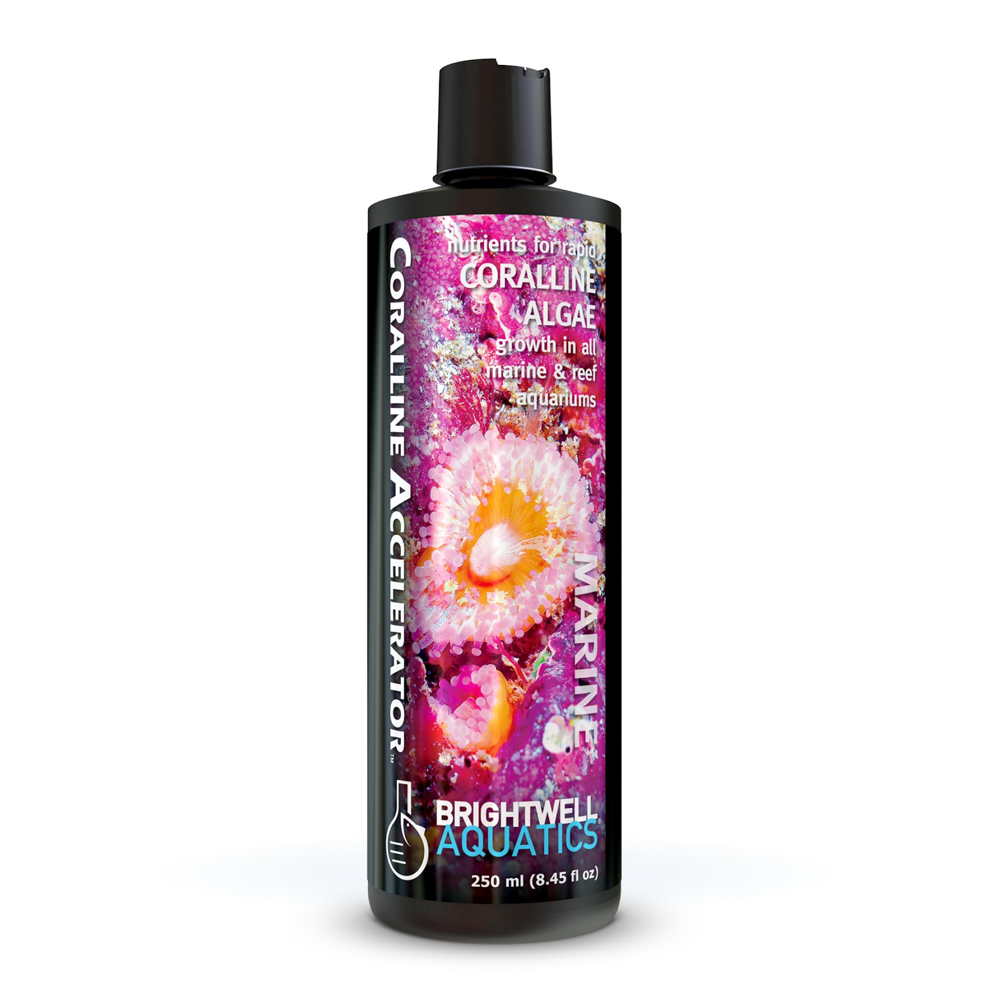 Brightwell Aquatics Coralline Accelerator bottle for balanced reef growth elements.