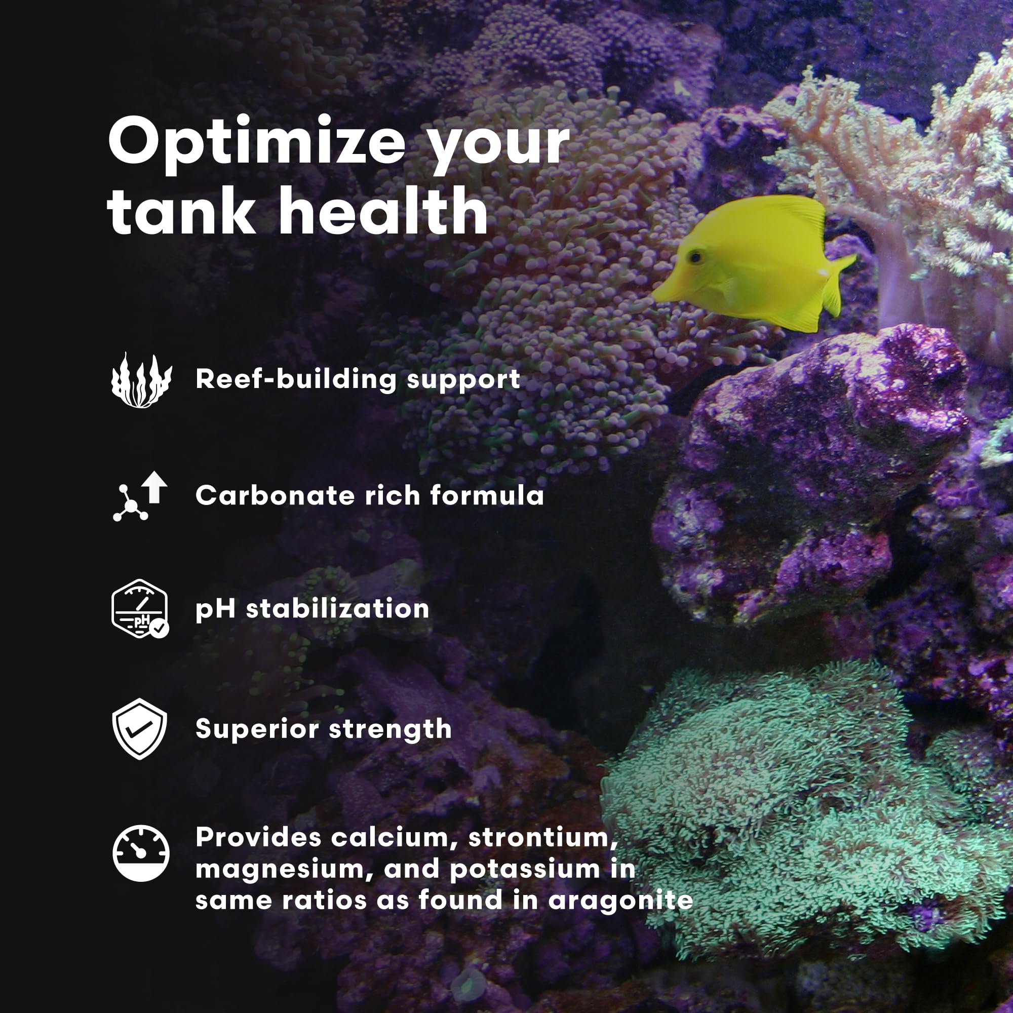Brightwell Aquatics Coralline Accelerator pour demonstrates easy calcium management in reefs.