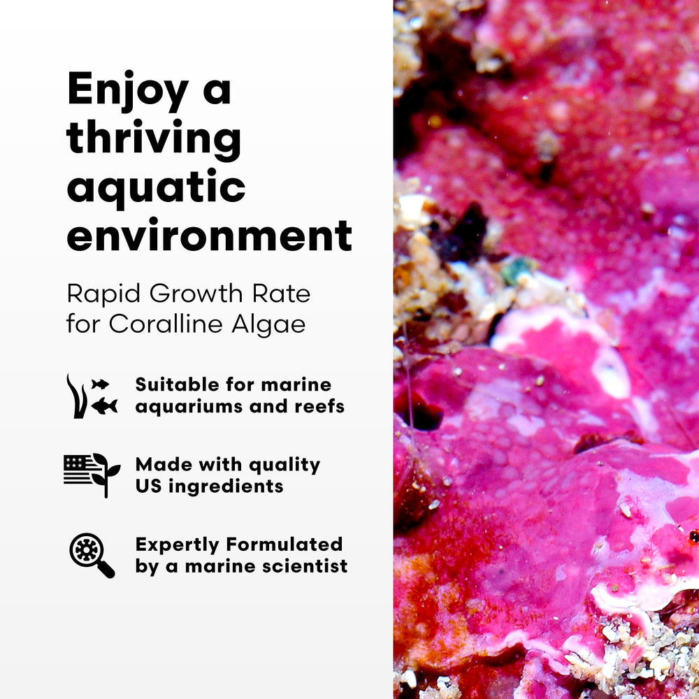 Brightwell Aquatics Coralline Accelerator label close-up shows ingredients and ratios.