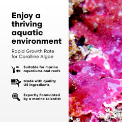 Brightwell Aquatics Coralline Accelerator label close-up shows ingredients and ratios.