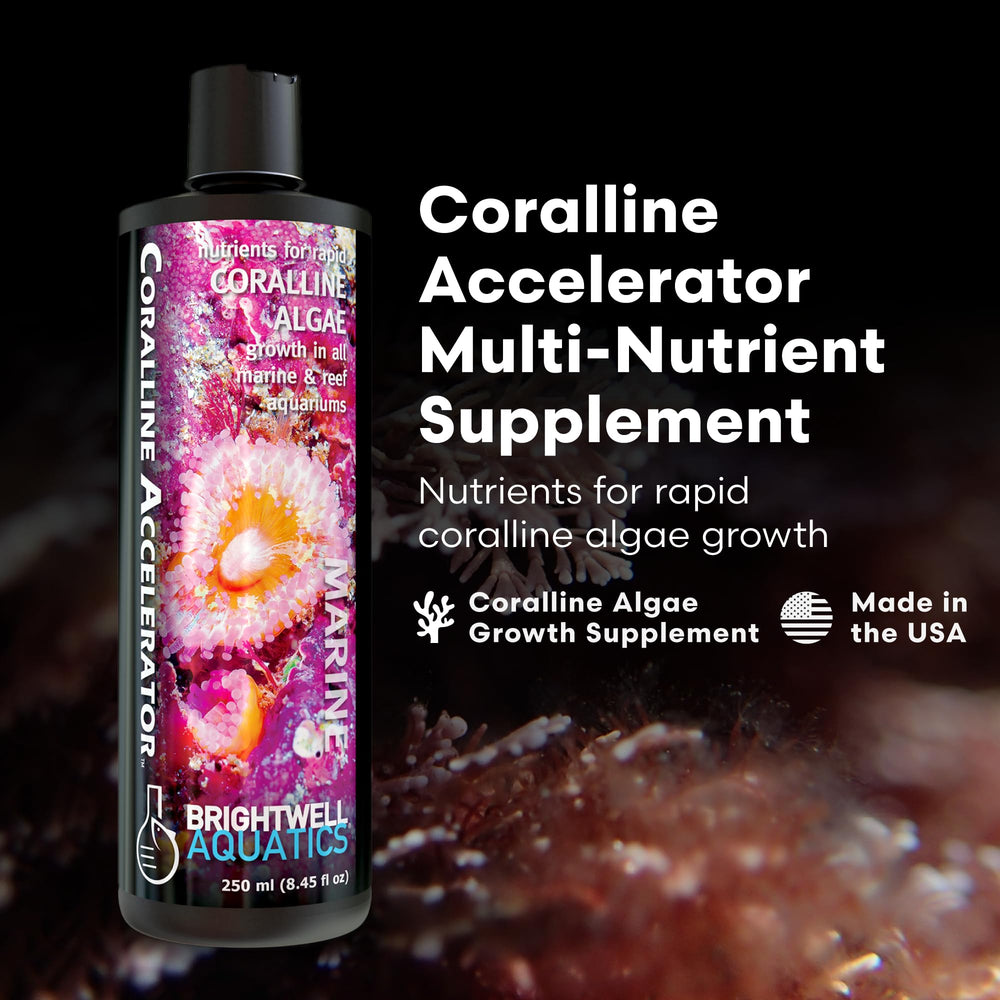 Brightwell Aquatics Coralline Accelerator being poured for convenient reef tank dosing.