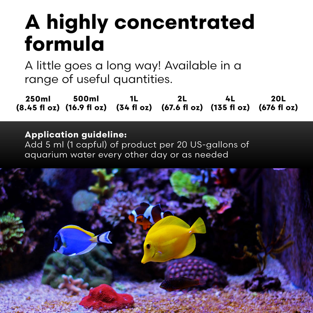 Reef tank thriving with Magnesion support for calcium balance