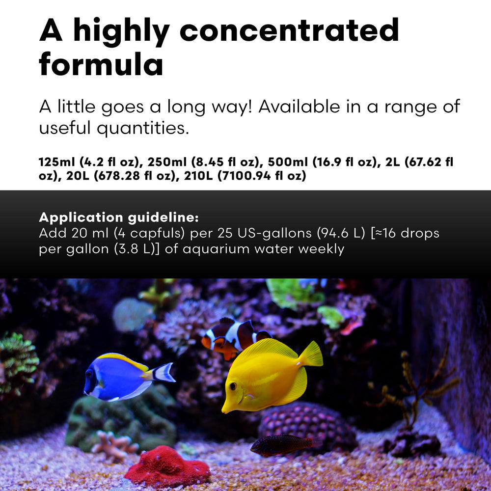 Brightwell Aquatics MicroBacter Clean close-up on cleaned live rock surface.