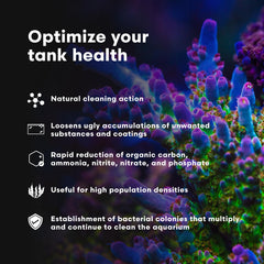 Brightwell Aquatics MicroBacter Clean used during tank setup with live rock and clear water.