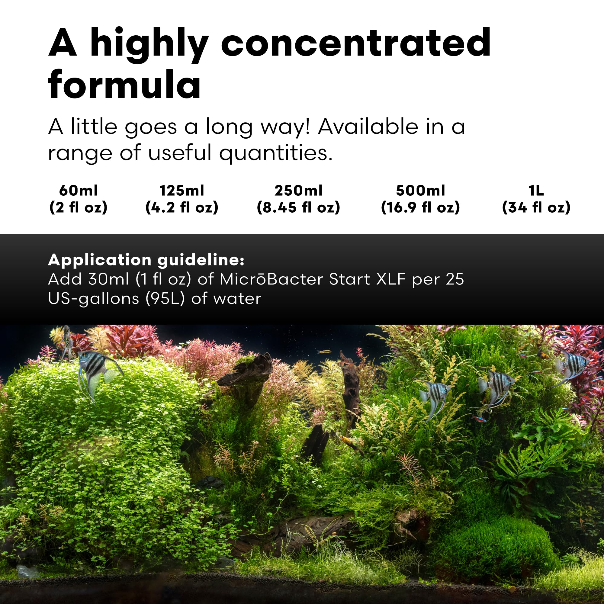 Shrimp-safe MicroBacter Start XLF applied after tank cleaning and medications