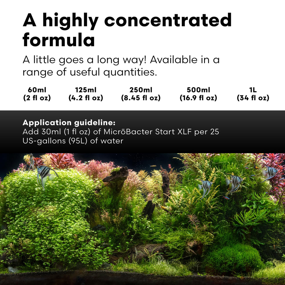 Shrimp-safe MicroBacter Start XLF applied after tank cleaning and medications