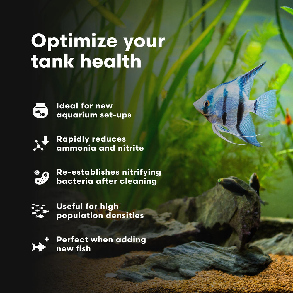 Aquarium setup scene with MicroBacter Start XLF added for faster recovery