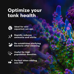 Brightwell Aquatics MicroBacter Start XLM bacteria at work in the water column