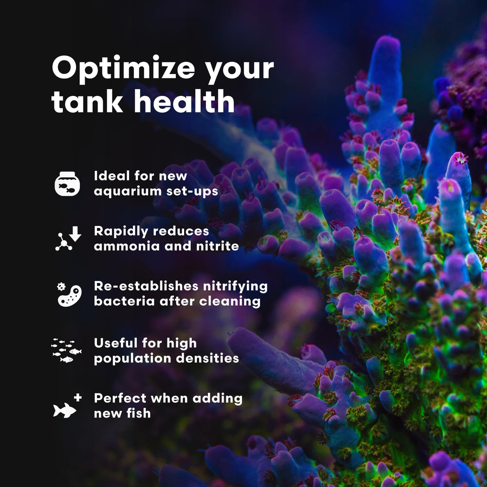 Brightwell Aquatics MicroBacter Start XLM cap preserves the formula and shelf stability