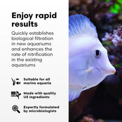 Brightwell Aquatics MicroBacter Start XLM packaging box showing shelf-stable formula