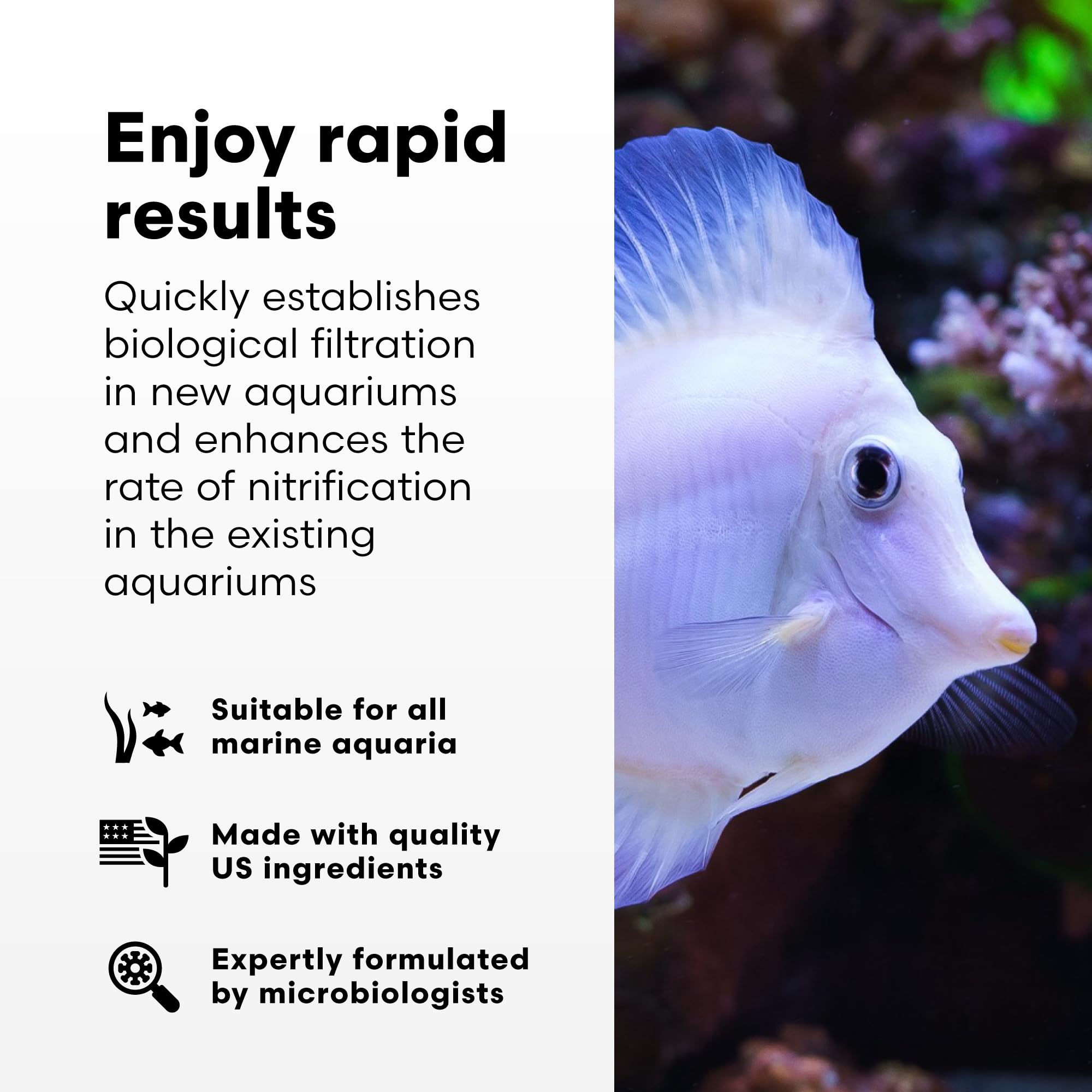 Brightwell Aquatics MicroBacter Start XLM pour demonstrates quick dosing for new tanks