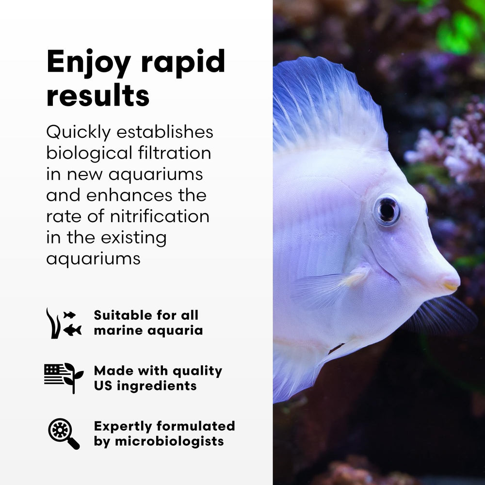 Brightwell Aquatics MicroBacter Start XLM pour demonstrates quick dosing for new tanks