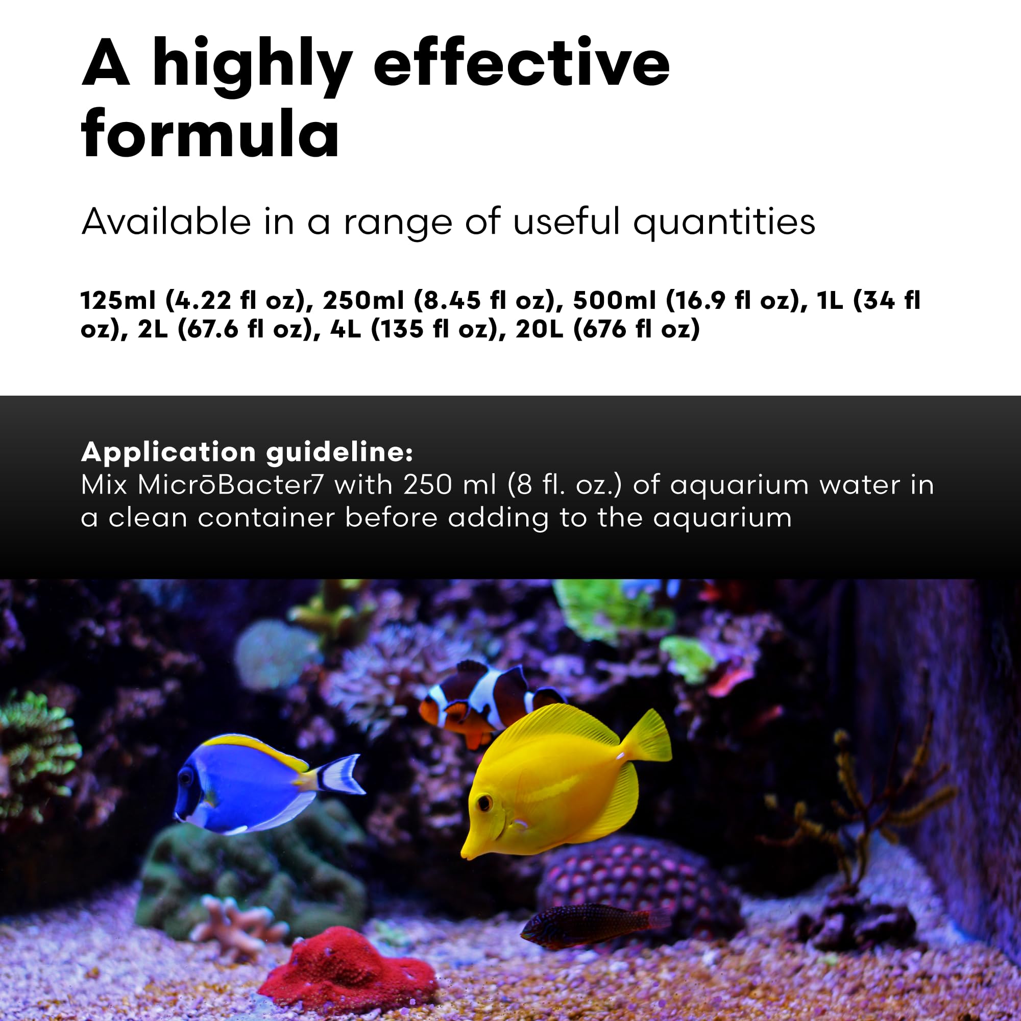 Brightwell Aquatics MicroBacter7 integrated with filter media inside a reef tank