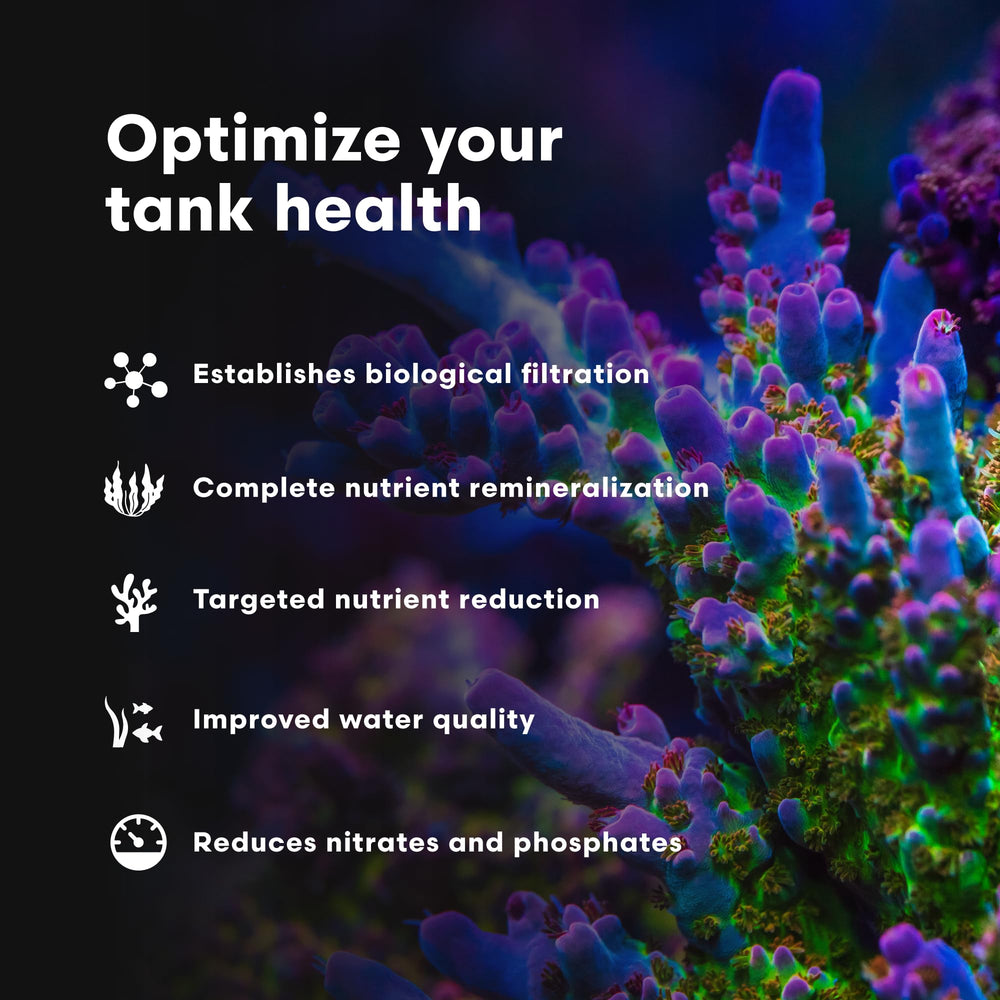 Brightwell Aquatics MicroBacter7 in-tank water supporting clarity.