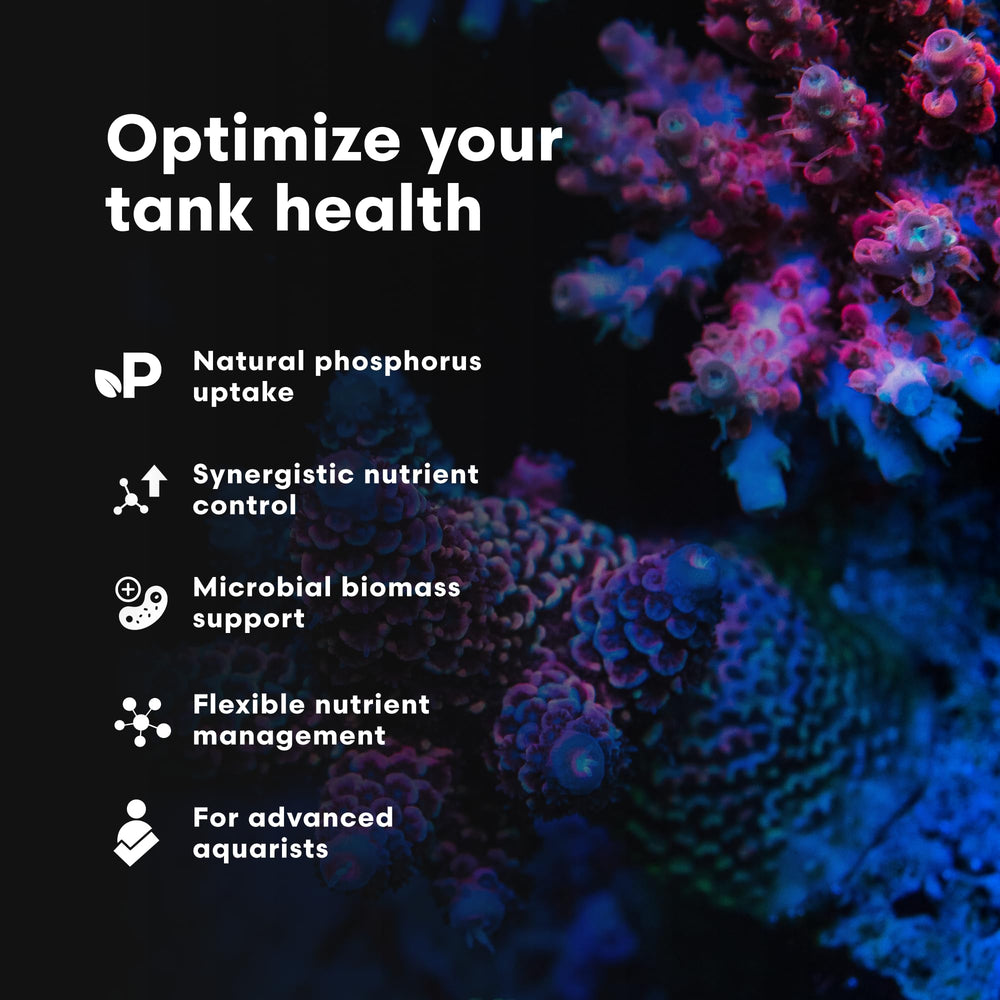 Brightwell NeoNitro microbial-biomass concept reflects enhanced organics processing.