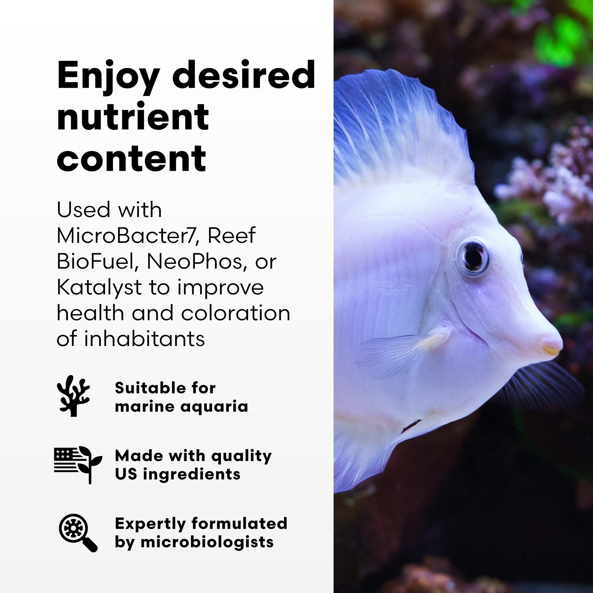 Brightwell NeoNitro phosphorus-uptake balances C,N,P for healthier reef color.