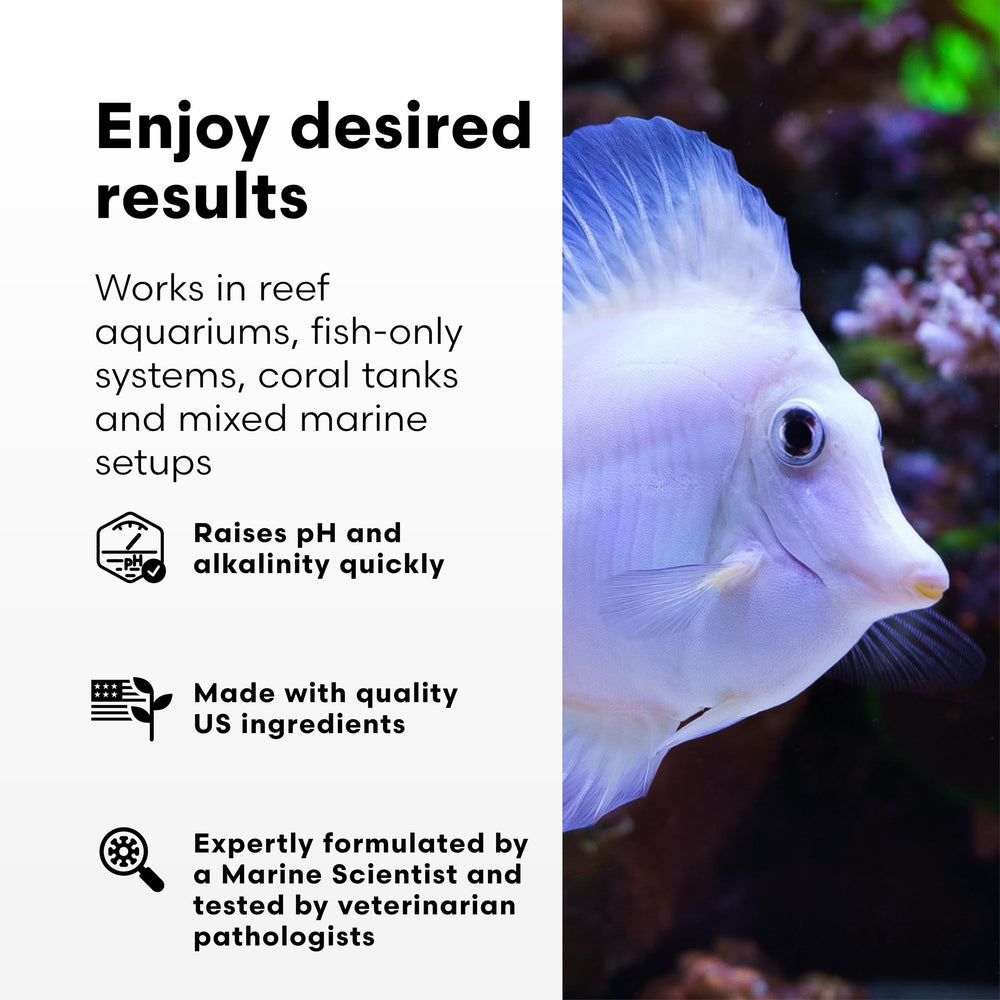 Brightwell Aquatics pH+ stable-parameters scene shows reduced pH swings in reef systems.
