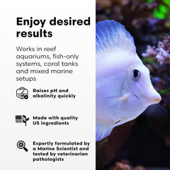 Brightwell Aquatics pH+ stable-parameters scene shows reduced pH swings in reef systems.